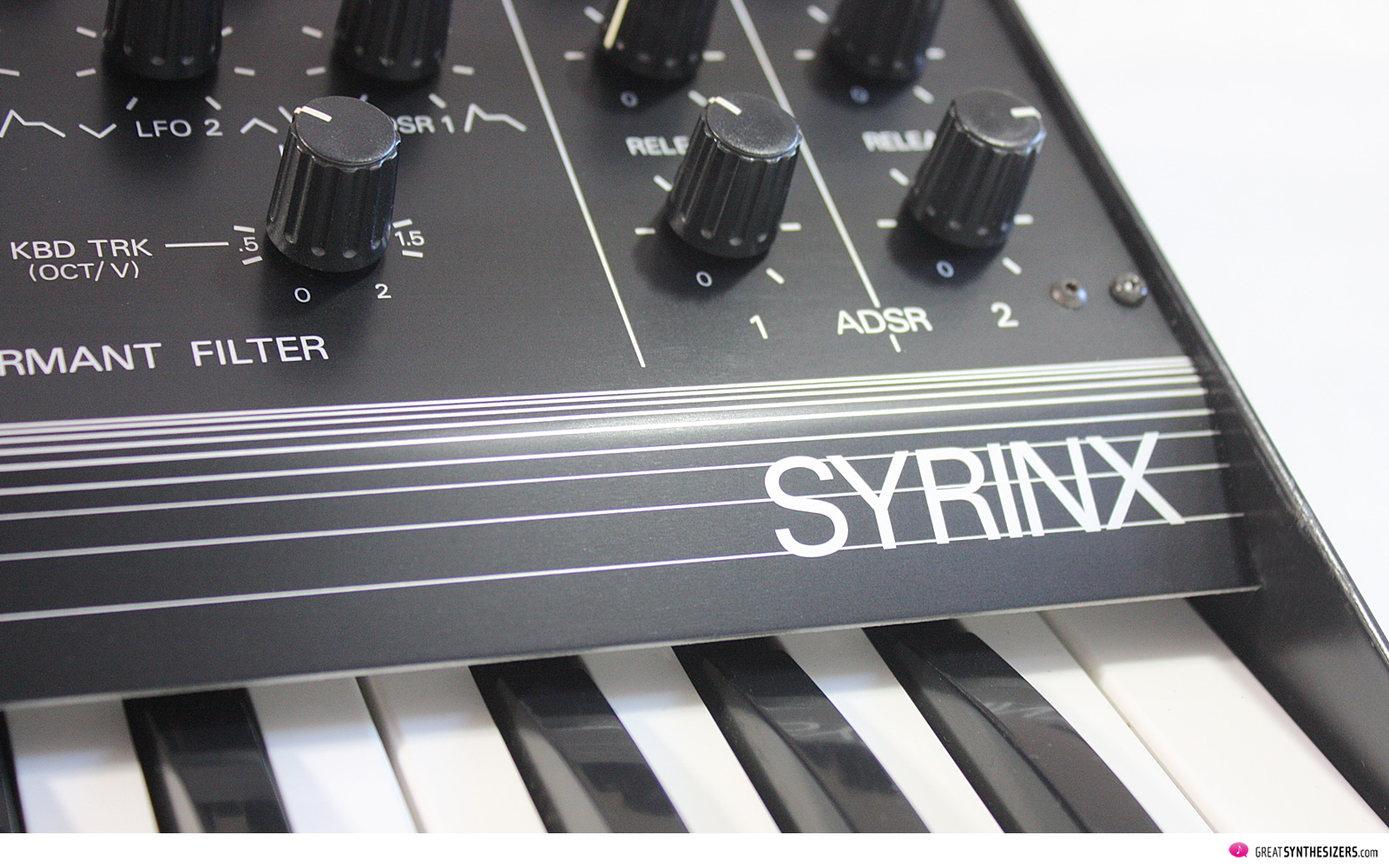 Synton Syrinx Synthesizer